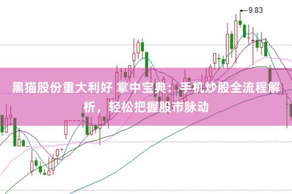 黑猫股份重大利好 掌中宝典：手机炒股全流程解析，轻松把握股市脉动