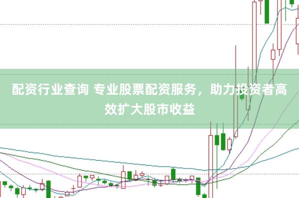 配资行业查询 专业股票配资服务，助力投资者高效扩大股市收益