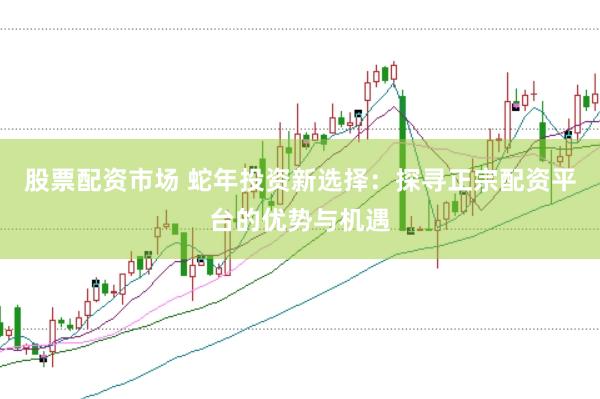 股票配资市场 蛇年投资新选择：探寻正宗配资平台的优势与机遇