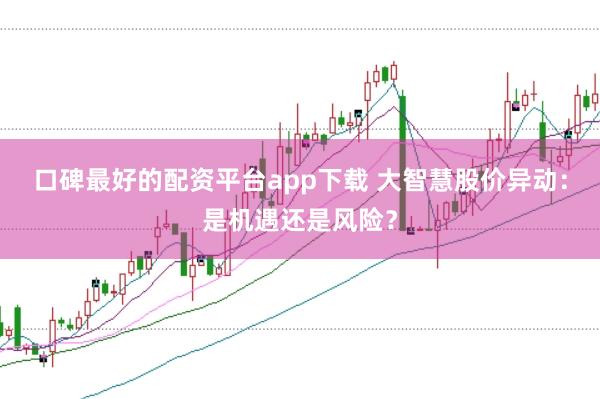 口碑最好的配资平台app下载 大智慧股价异动：是机遇还是风险？