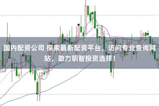 国内配资公司 探索最新配资平台，访问专业查询网站，助力明智投资选择！