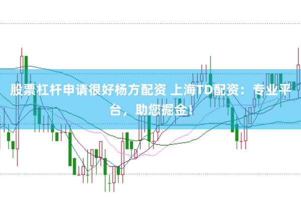股票杠杆申请很好杨方配资 上海TD配资：专业平台，助您掘金！