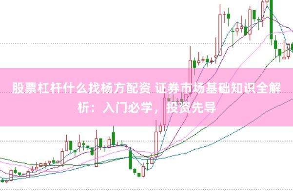 股票杠杆什么找杨方配资 证券市场基础知识全解析：入门必学，投资先导