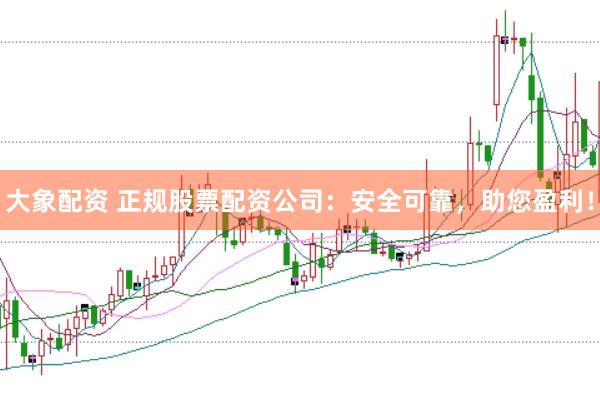 大象配资 正规股票配资公司：安全可靠，助您盈利！