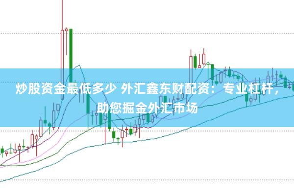 炒股资金最低多少 外汇鑫东财配资：专业杠杆，助您掘金外汇市场