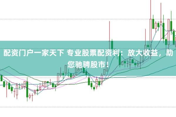 配资门户一家天下 专业股票配资利：放大收益，助您驰骋股市！