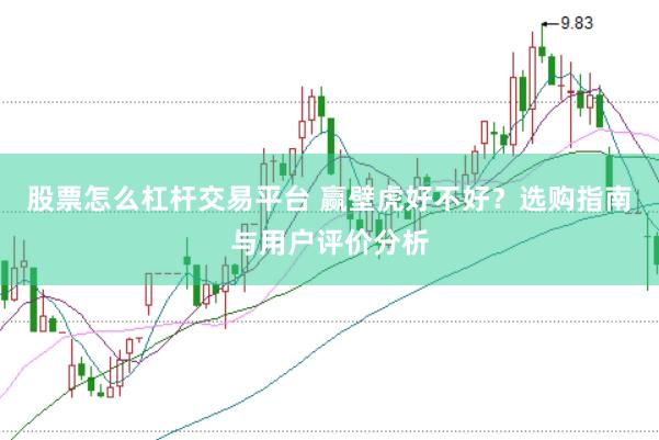 股票怎么杠杆交易平台 赢壁虎好不好？选购指南与用户评价分析