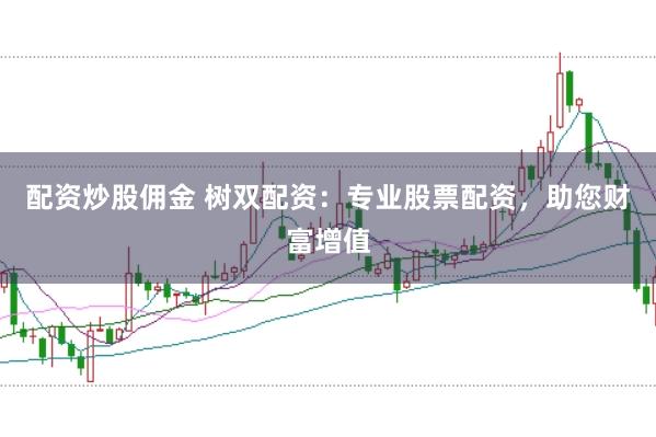 配资炒股佣金 树双配资：专业股票配资，助您财富增值