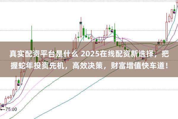 真实配资平台是什么 2025在线配资新选择，把握蛇年投资先机，高效决策，财富增值快车道！