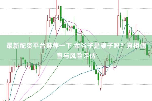 最新配资平台推荐一下 金谷子是骗子吗？真相调查与风险评估
