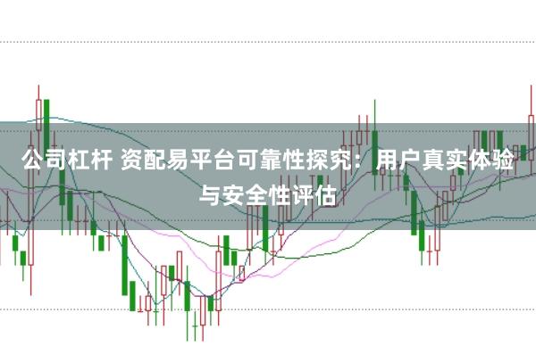 公司杠杆 资配易平台可靠性探究：用户真实体验与安全性评估