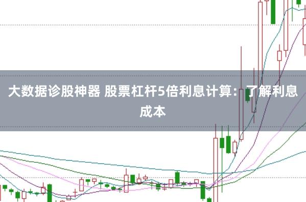 大数据诊股神器 股票杠杆5倍利息计算：了解利息成本
