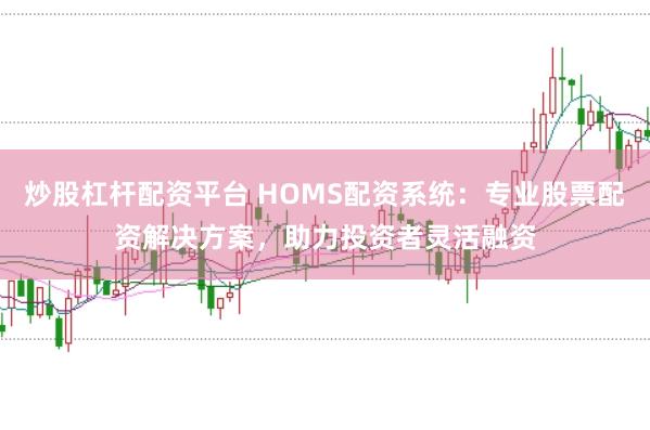 炒股杠杆配资平台 HOMS配资系统：专业股票配资解决方案，助力投资者灵活融资