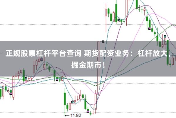 正规股票杠杆平台查询 期货配资业务:杠杆放大,掘金期市!