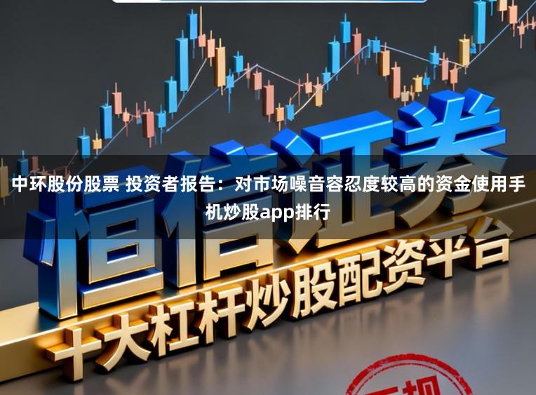 中环股份股票 投资者报告:对市场噪音容忍度较高的资金使用手机炒股app排行