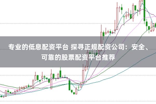 专业的低息配资平台 探寻正规配资公司：安全、可靠的股票配资平台推荐